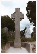 Sevenchurches or Camaderry, ringed granite cross, Glendalough, Co. Wicklow, Ireland, located south of cathedral in monastic city