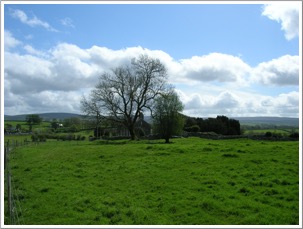 Seir Kieran monastic site, County Offaly, Ireland