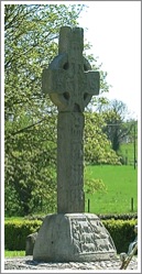 Castledermot south Cross, County Kildare, Ireland