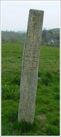 County Cork, Ireland, Kilnaruane cross