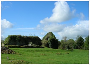 Drumcullin, monastery abbey, County Offaly, Ireland
