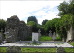 Dulane, County Meath, Ireland, ruins of church