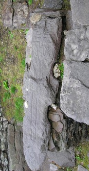 Kellogg Michael five foot cross, County Kerry, Ireland